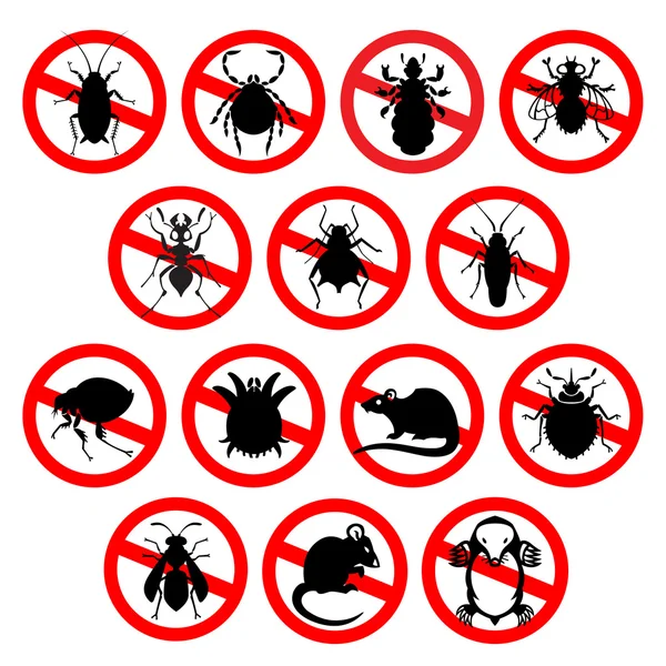 Best Pest Control Services in Chennai